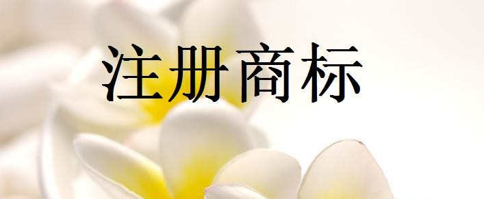 商标注册