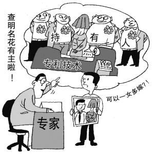 教你专利交易时需要核对的内容